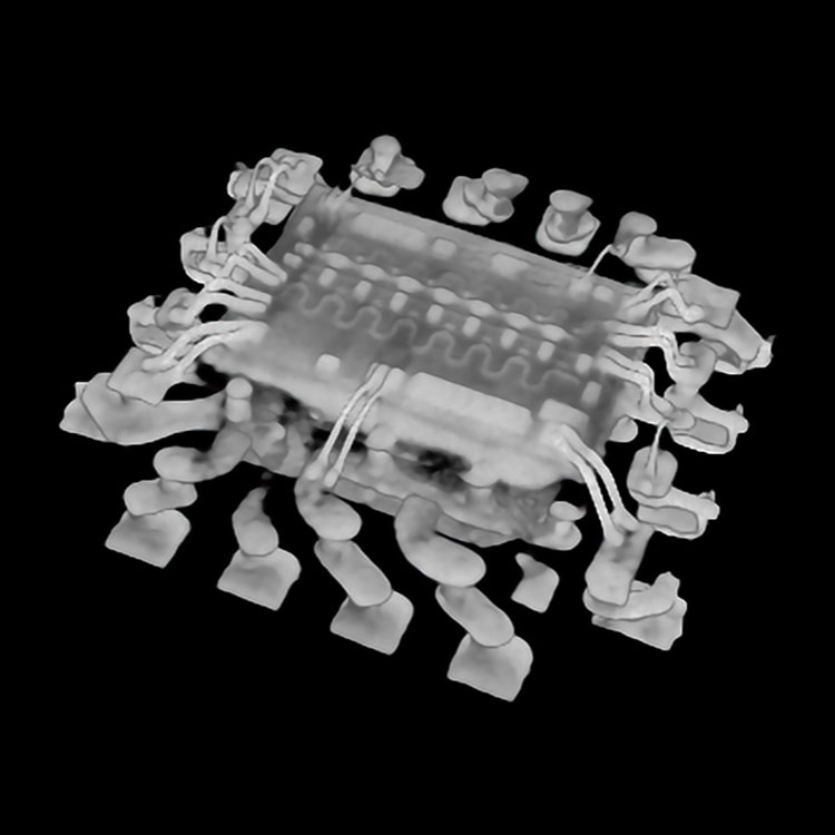 Micro CT Software